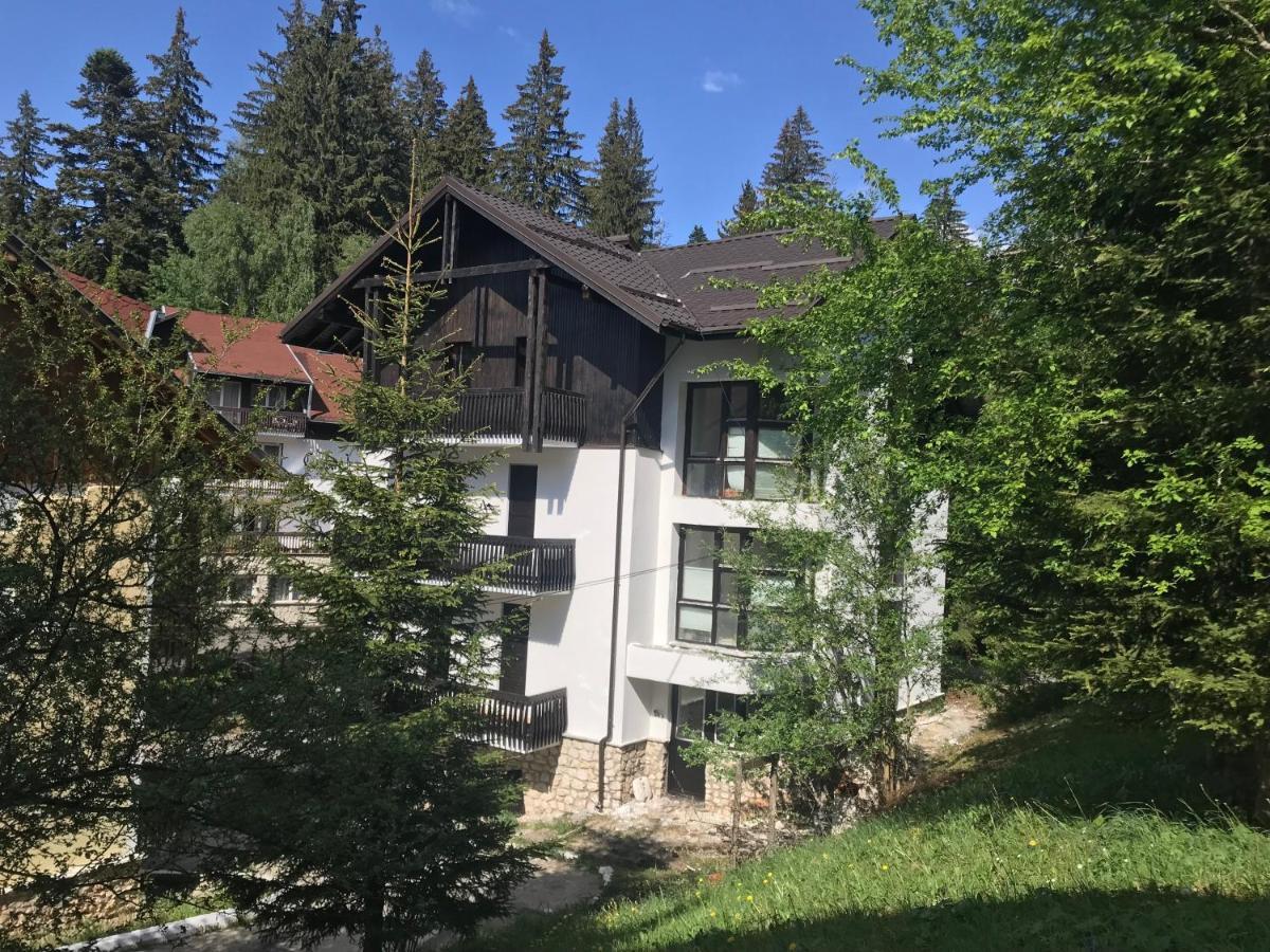 Montana Residence Poiana Braşov Dış mekan fotoğraf
